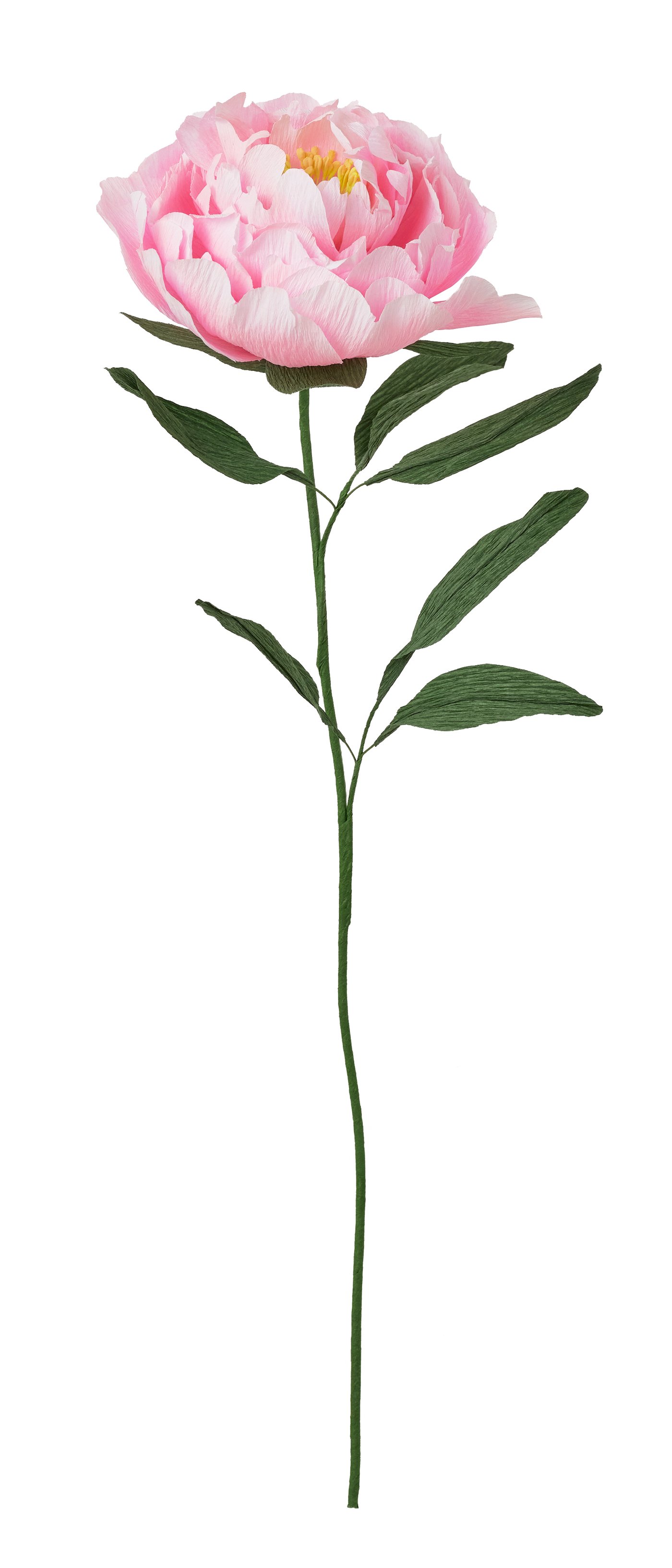GULDSPETT