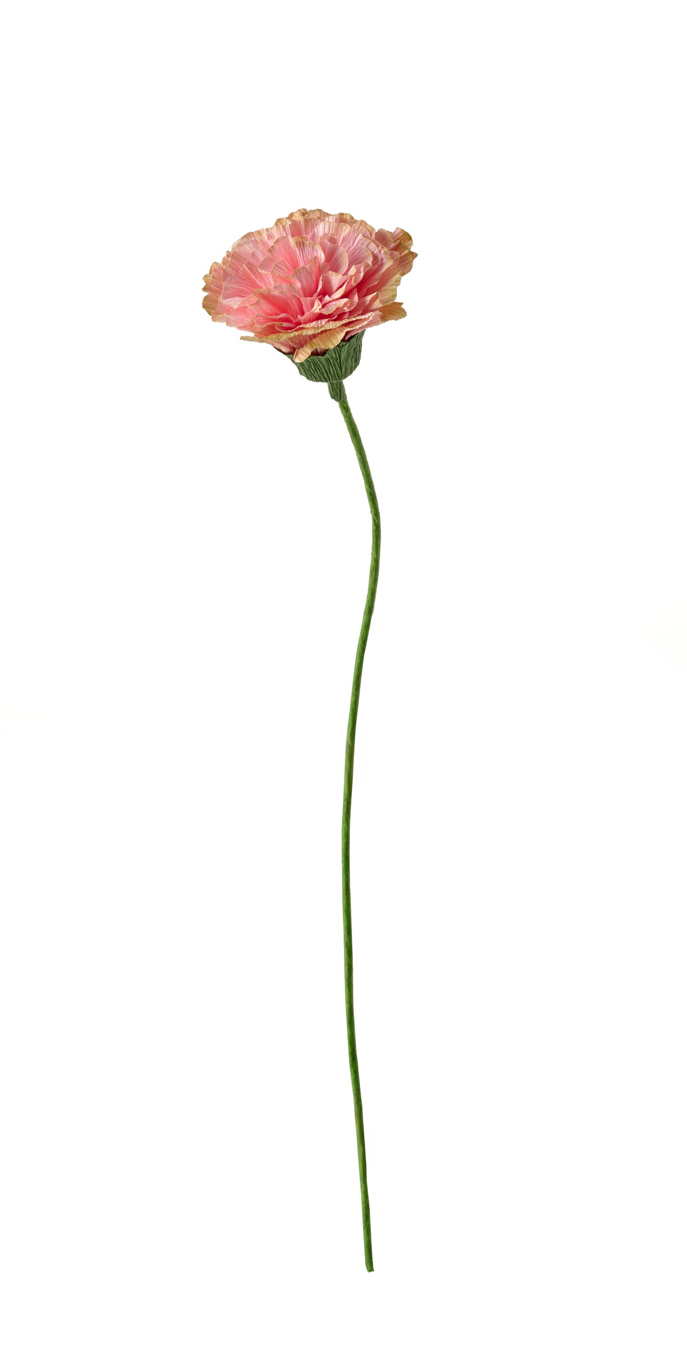 GULDSPETT
